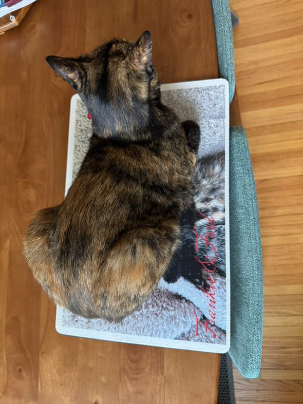 Personalized Pet Mat - Rectangle, Send us your pet photos and get Your mat!