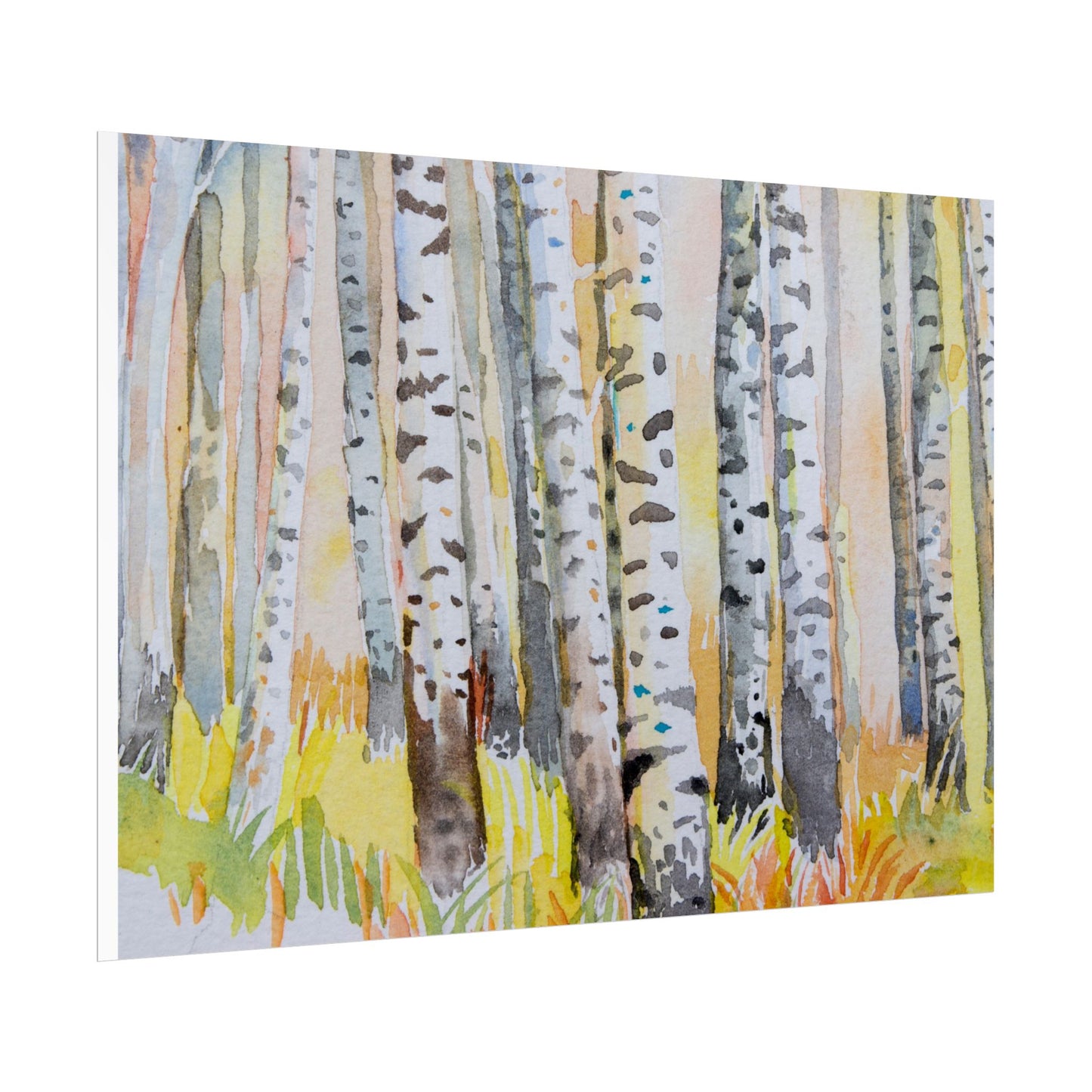 Aspen Tree Trunks watercolor Canvas Wall Art - Autumn Aspen Forest watercolor- Fall Trees Art Print Rolled Posters