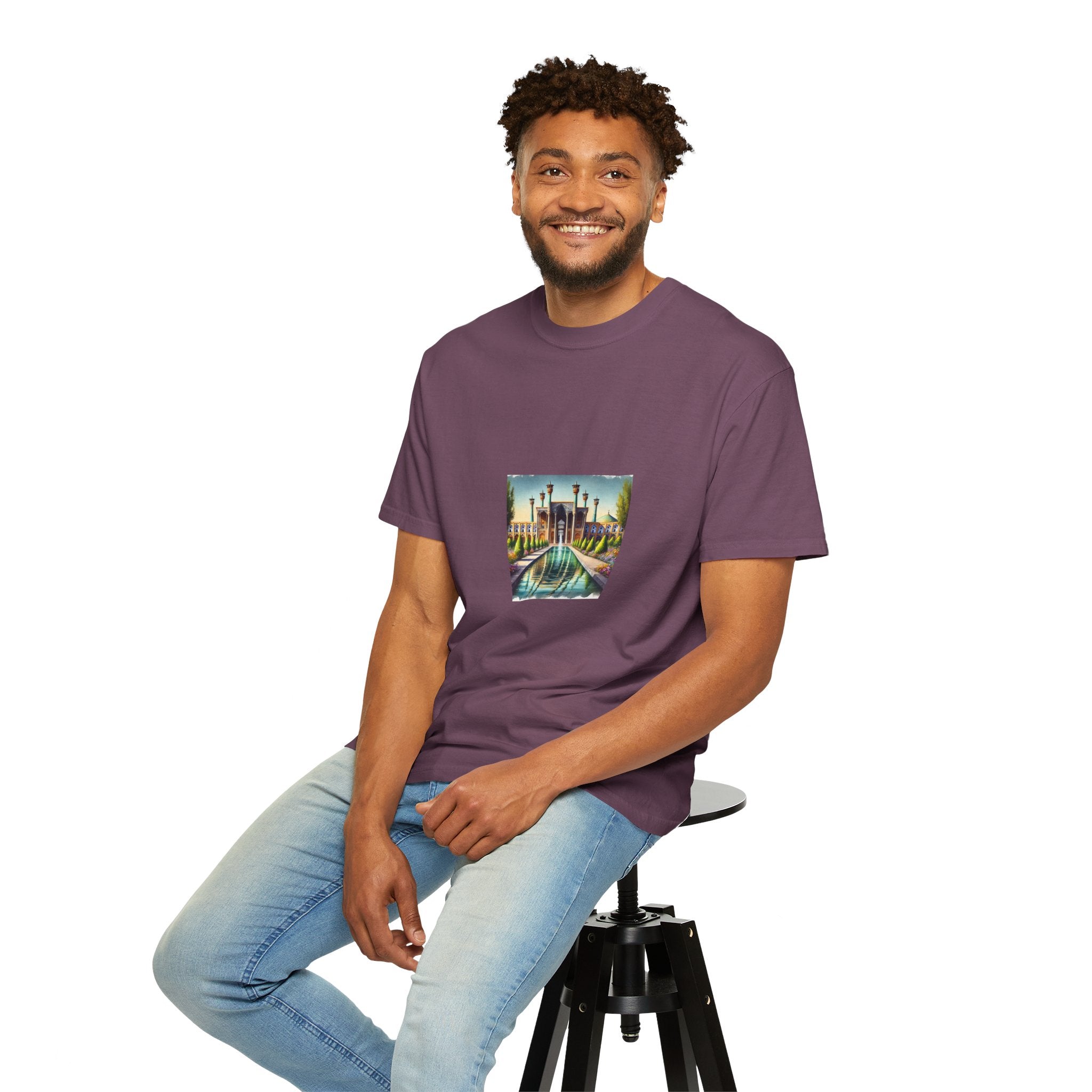 Persian art T-shirt traditional design, heritage clothing, ancient Persian culture, artistry, historical sites, decorative patterns, motifs