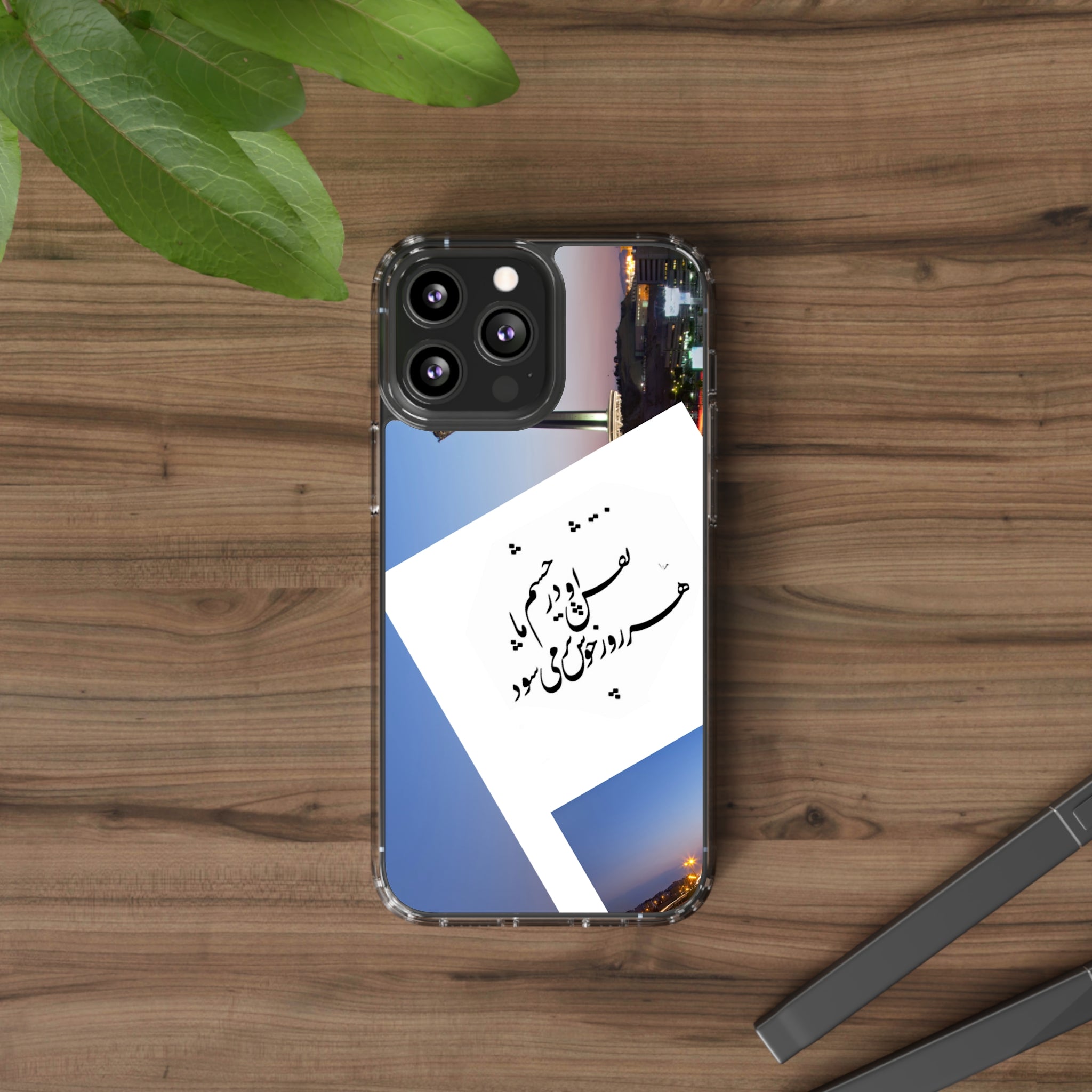 Persian Poem Clear Cases