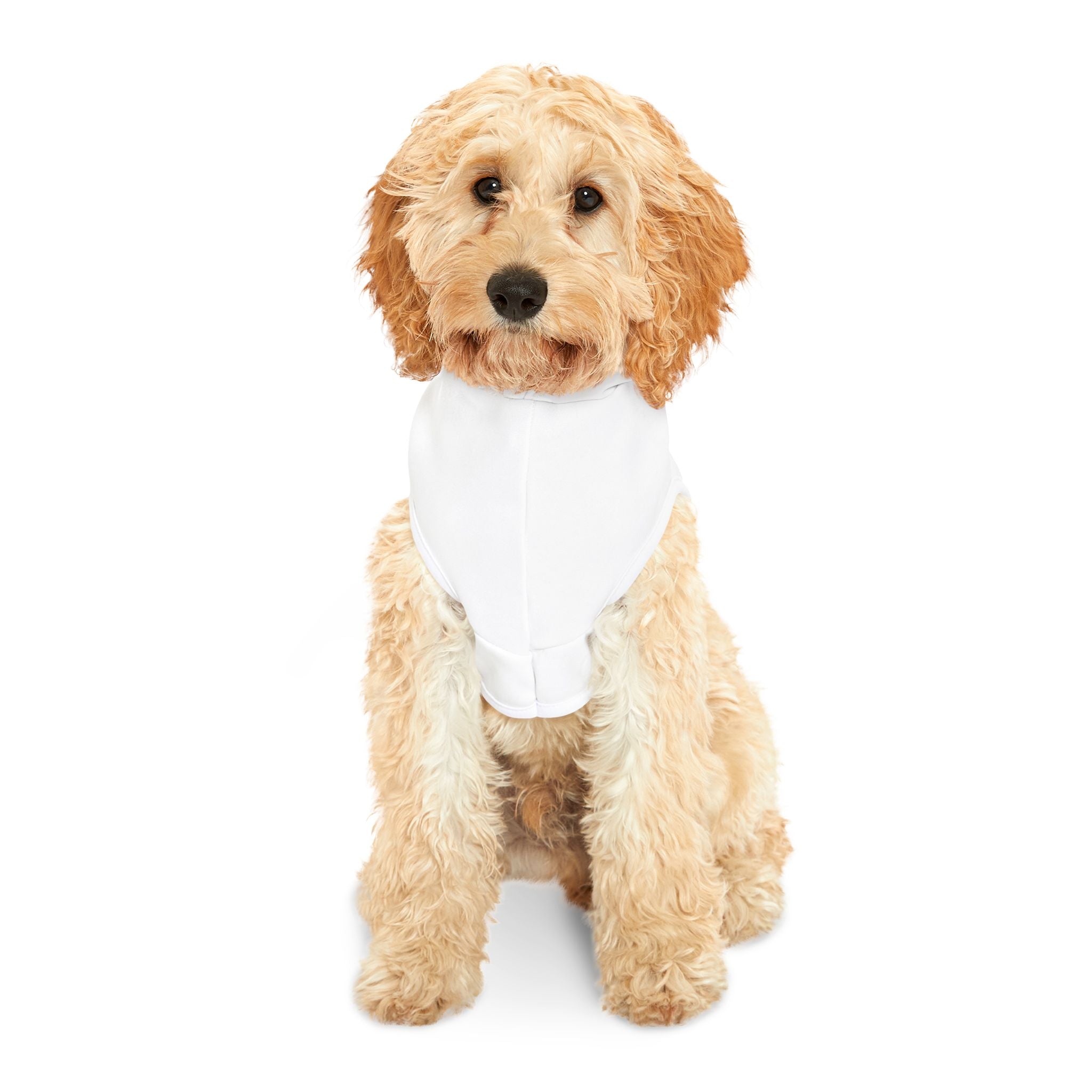 My Boo My Only Boo Pet Hoodie