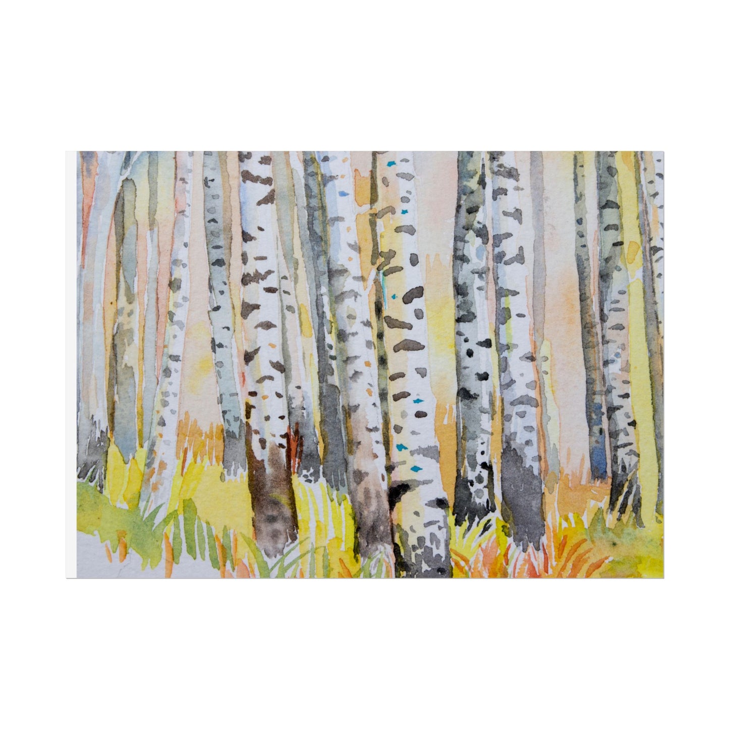 Aspen Tree Trunks watercolor Canvas Wall Art - Autumn Aspen Forest watercolor- Fall Trees Art Print Rolled Posters