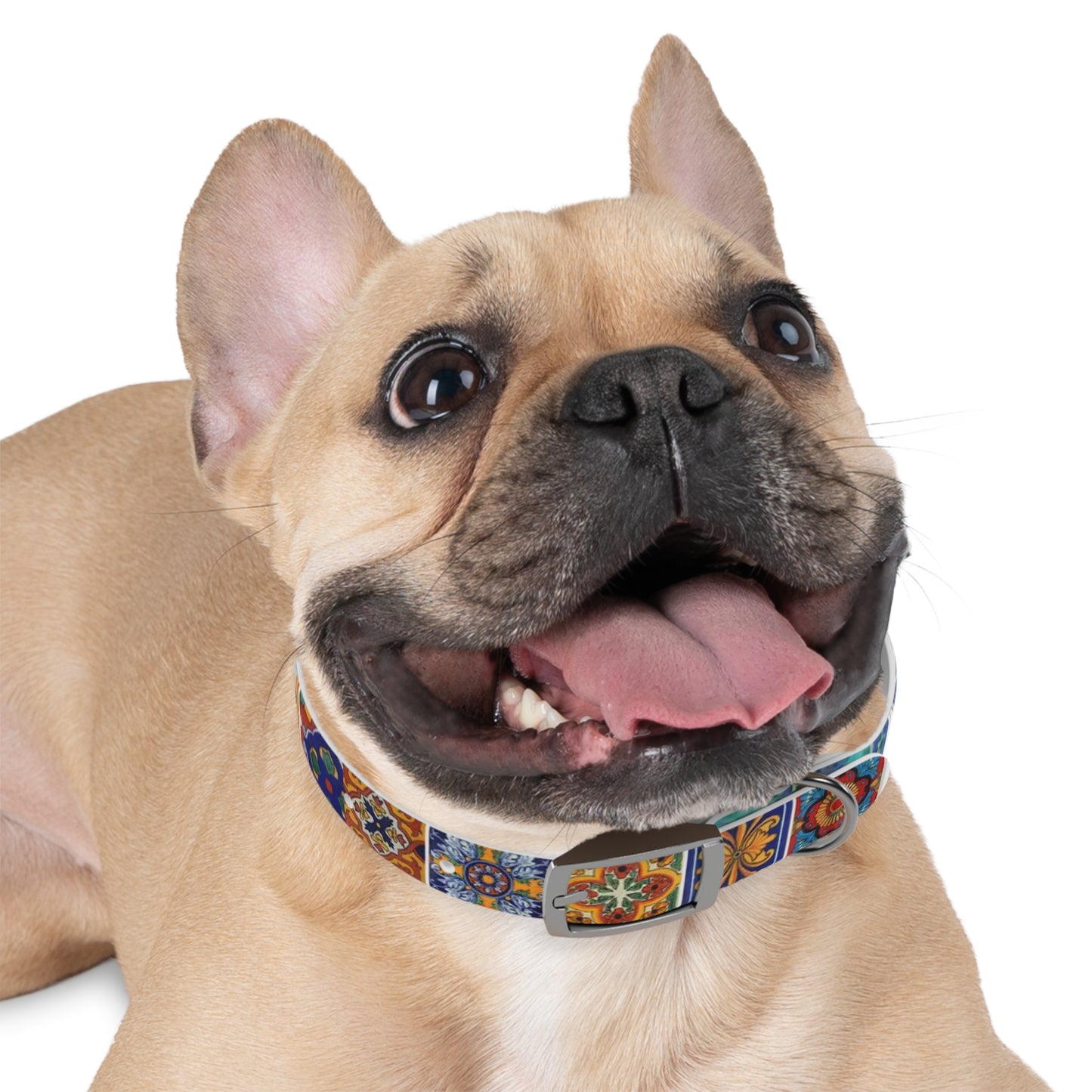 Persian tapestry Dog Collar