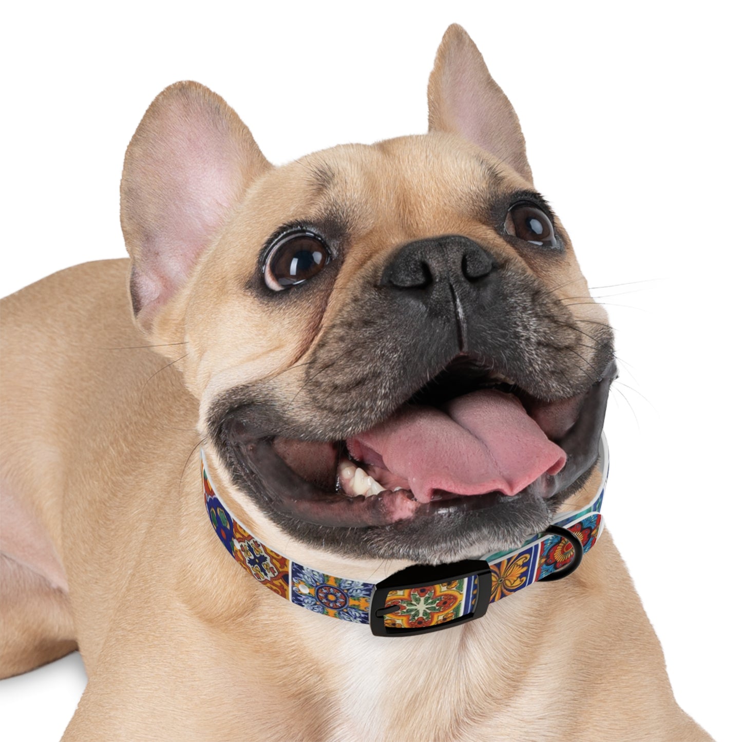 Persian tapestry Dog Collar
