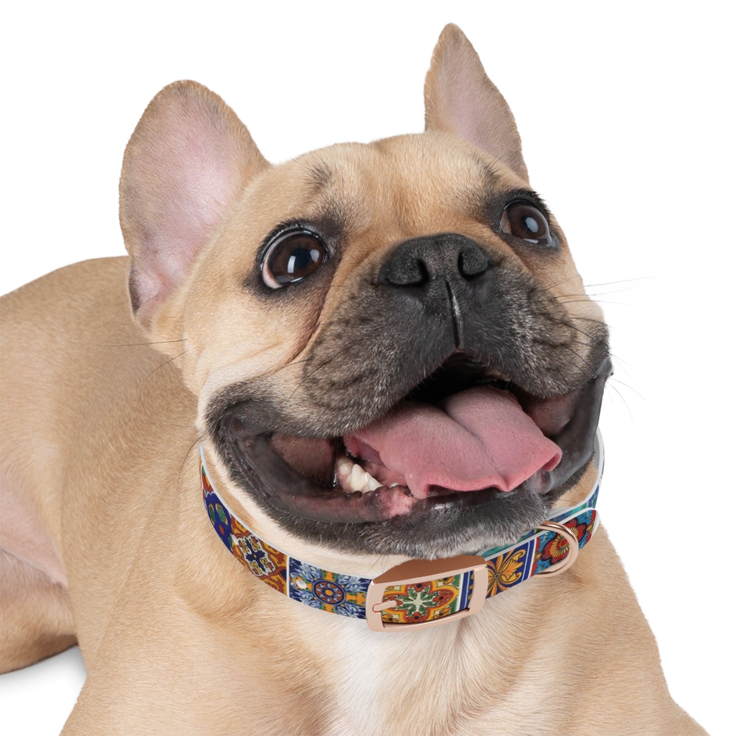 Persian tapestry Dog Collar