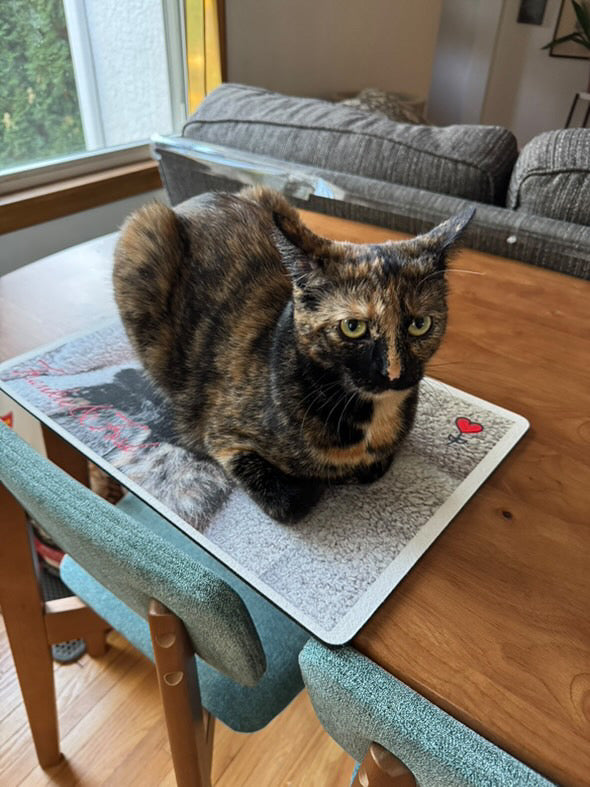 Personalized Pet Mat - Rectangle, Send us your pet photos and get Your mat!