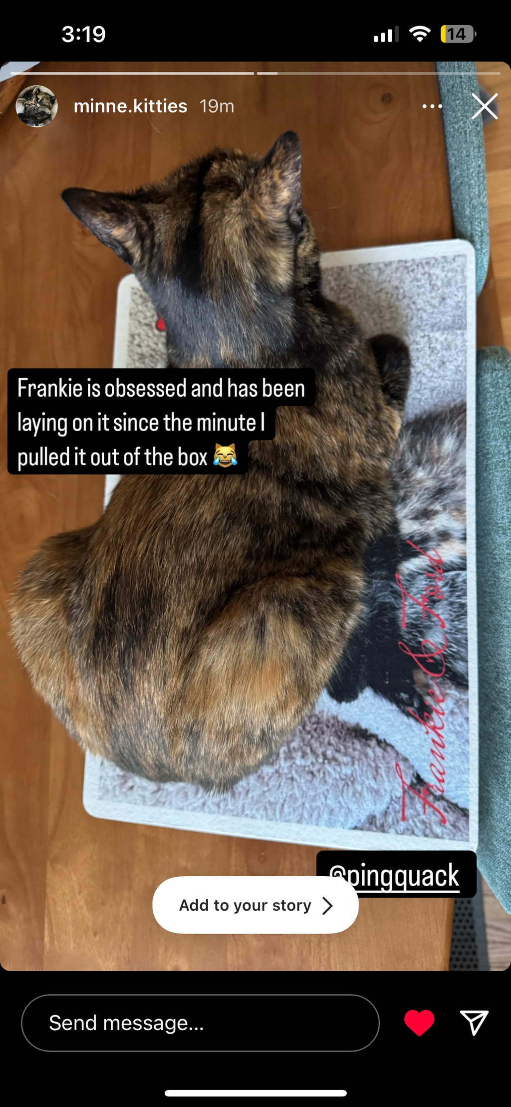 Personalized Pet Mat - Rectangle, Send us your pet photos and get Your mat!