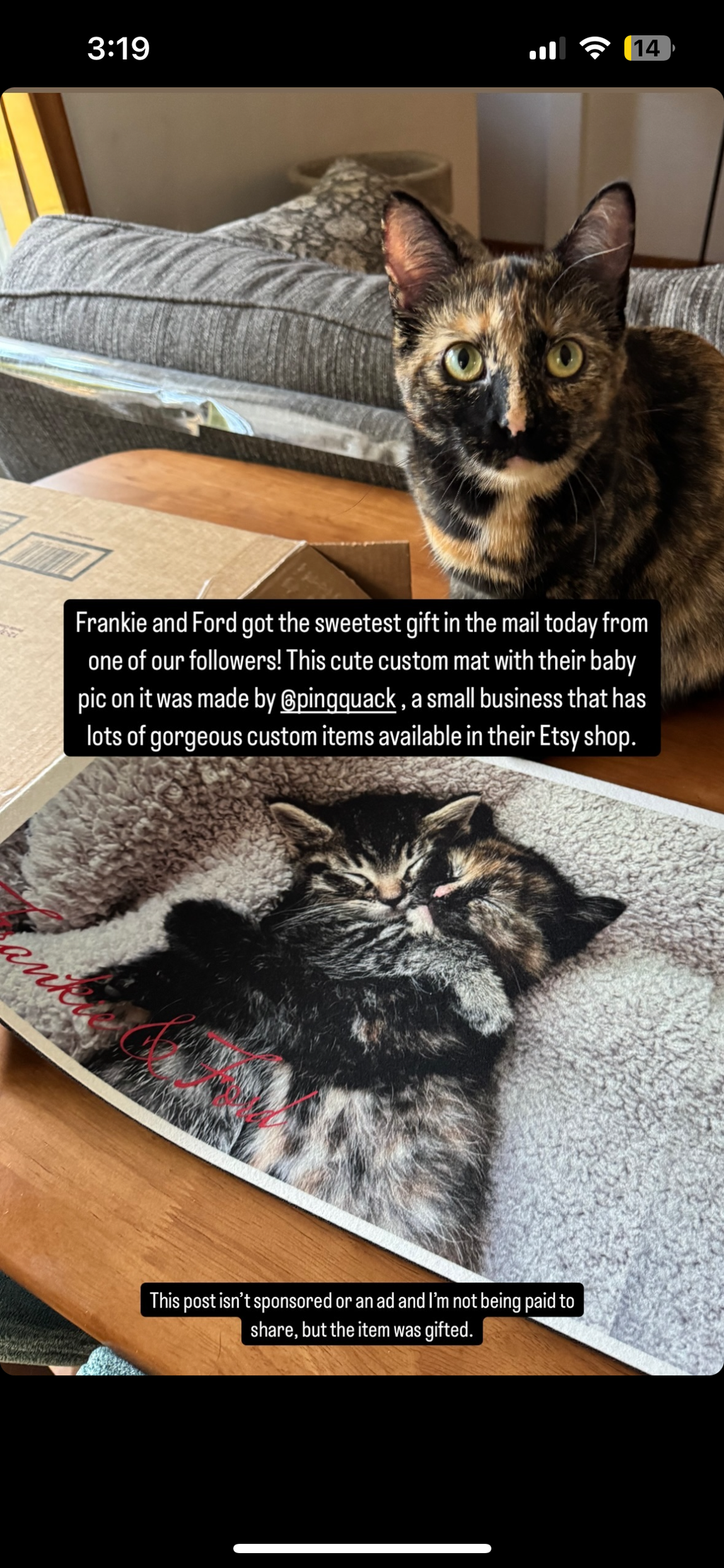 Personalized Pet Mat - Rectangle, Send us your pet photos and get Your mat!