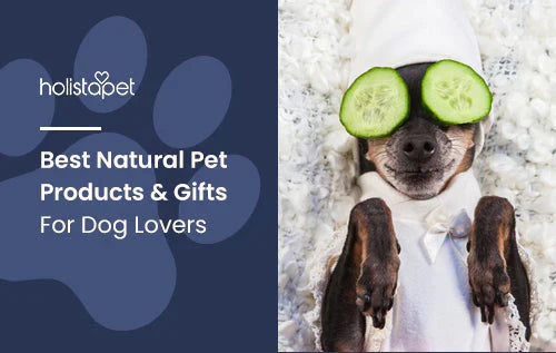 Best Natural Pet Products & Gifts For Dog Lovers