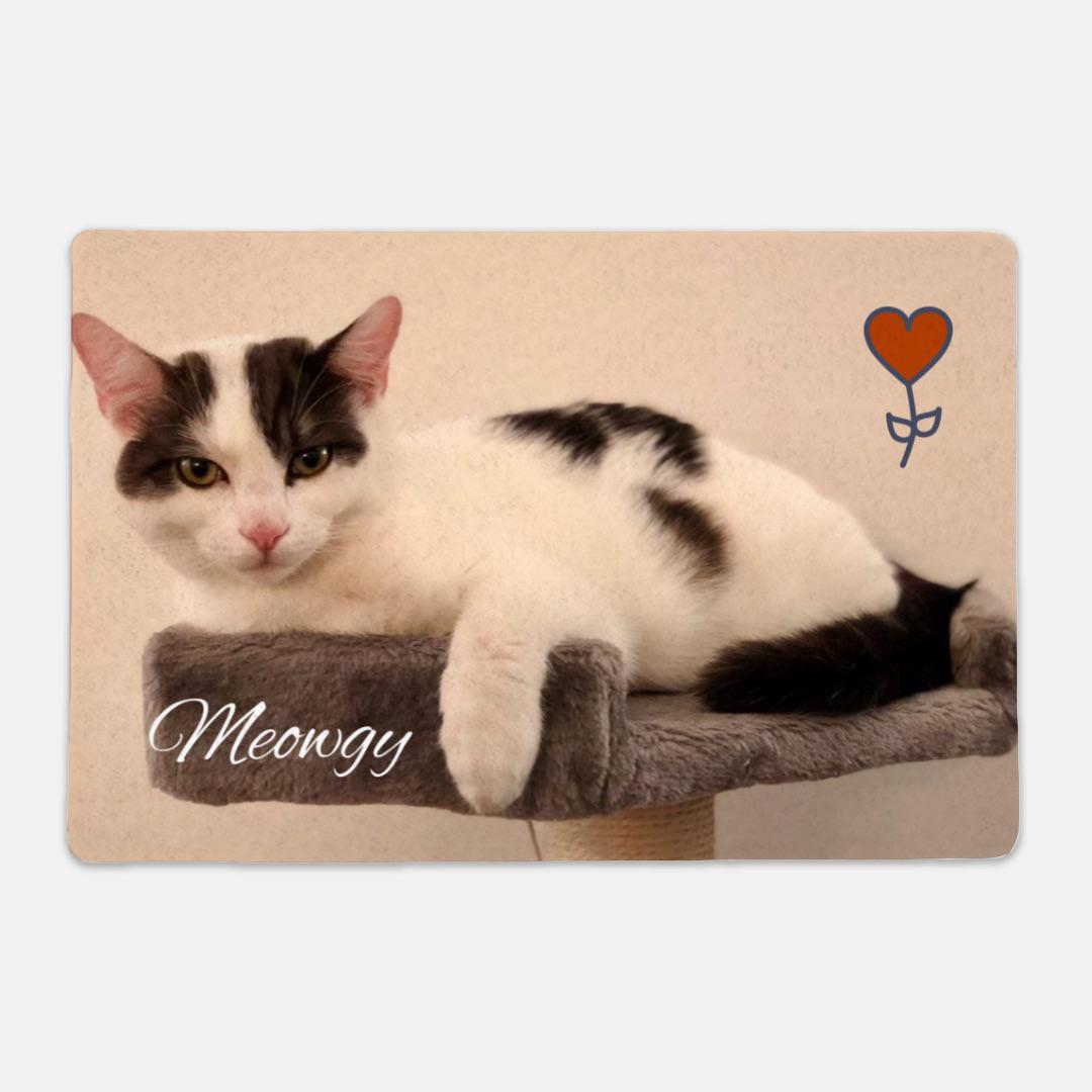 Personalized Pet Mat - Rectangle, Send us your pet photos and get Your mat!